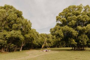 Custom Proposal | Byron Bay