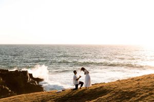 Proposals | Byron Bay