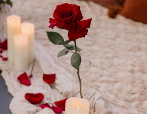 Intimate Proposal | Byron Bay