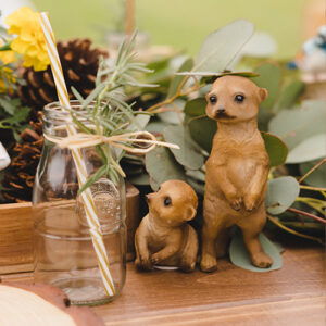 Wild Goat Events Co. - Wild Goat Kids Wild Goat Events Co. - Wild Goat Kids